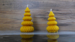 Weihnachtsbaum groß/klein
